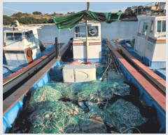  2025Ÿ��50650  ���ڰ��