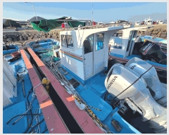  2025Ÿ��50650  ���ڰ��