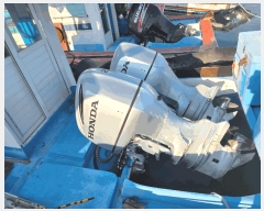  2025Ÿ��50650  ���ڰ��