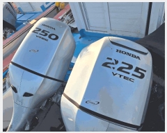  2025Ÿ��50650  ���ڰ��