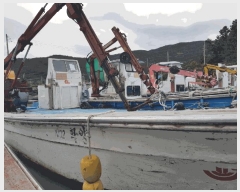  2025Ÿ��50663 ���� �ϵ��� ����� .       ���ڰ��