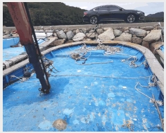  2025Ÿ��50663 ���� �ϵ��� ����� .       ���ڰ��