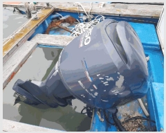  2025Ÿ��50663 ���� �ϵ��� ����� .       ���ڰ��