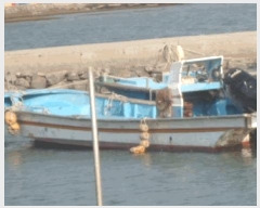  2025Ÿ��50665 ���� �ϵ��� ������ .       ���ڰ��