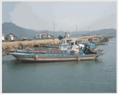  2025Ÿ��50665 ���� �ϵ��� ������ .       ���ڰ��