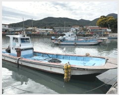  2025Ÿ��50666  ���ڰ��