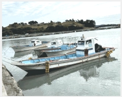  2025Ÿ��50666  ���ڰ��