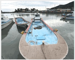  2025Ÿ��50666  ���ڰ��