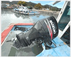  2025Ÿ��50666  ���ڰ��