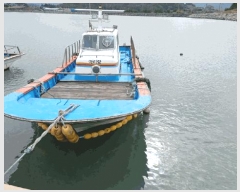  2025Ÿ��50676 ���� �ϵ��� ��ȭ�� .       ���ڰ��