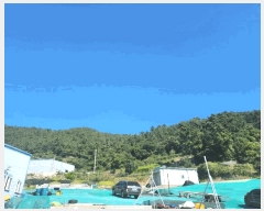  2025Ÿ��50685 ���� �ϵ��� ������ �浿�� 21-14      ����(��1)���