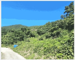 2025Ÿ��50685 ���� �ϵ��� ������ �浿�� 21-14      ����(��1)���