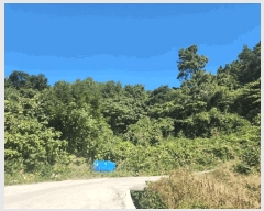  2025Ÿ��50685 ���� �ϵ��� ������ �浿�� 21-14      ����(��1)���