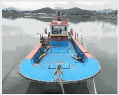  2025Ÿ��50704  ���ڰ��