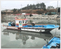  2025Ÿ��50704  ���ڰ��