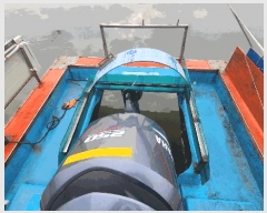  2025Ÿ��50704  ���ڰ��