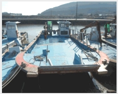  2025Ÿ��50705  ���ڰ��