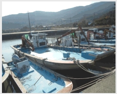  2025Ÿ��50705  ���ڰ��