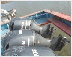  2025Ÿ��50705  ���ڰ��