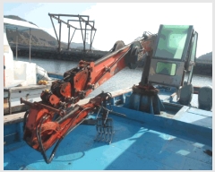  2025Ÿ��50705  ���ڰ��