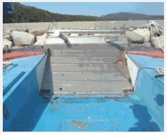  2025Ÿ��50705  ���ڰ��