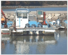  2025Ÿ��50705  ���ڰ��