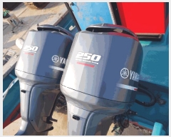  2025Ÿ��50723 ���� �ϵ��� ���ܸ� .       ���ڰ��