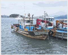  2025Ÿ��50729 ���� �ϵ��� �ϵ��� .       ���ڰ��