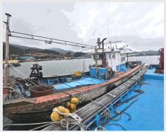  2025Ÿ��50729 ���� �ϵ��� �ϵ��� .       ���ڰ��