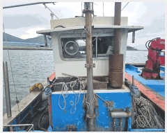  2025Ÿ��50729 ���� �ϵ��� �ϵ��� .       ���ڰ��