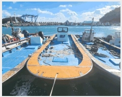  2025Ÿ��50742  ���ڰ��