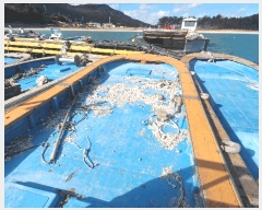  2025Ÿ��50742  ���ڰ��