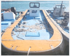  2025Ÿ��50742  ���ڰ��