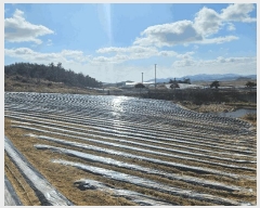  2025Ÿ��662 ���� �س��� ������ ��ϸ� ��127-1      ����(�Ӿ�)���