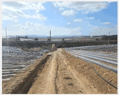  2025Ÿ��662 ���� �س��� ������ ��ϸ� ��127-1      ����(�Ӿ�)���