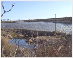  2025Ÿ��662 ���� �س��� ������ ��ϸ� ��127-1      ����(�Ӿ�)���