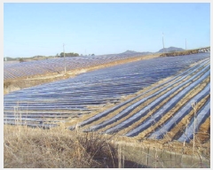  2025Ÿ��662 ���� �س��� ������ ��ϸ� ��127-1      ����(�Ӿ�)���