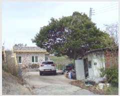  2025Ÿ��969 ���� ������ ������ �ݰ踮 39-40      ���ð��