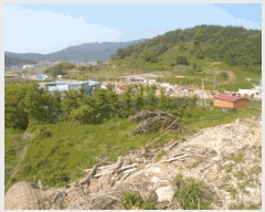  2025Ÿ��1085 ���� ������ ������ ���긮 649      ����(��1)���