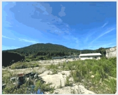  2025Ÿ��1344 ���� �ϵ��� �Ҿȸ� ���и� 119      ����(������)���