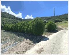  2025Ÿ��1405 ���� ������ ����� ������ 861      ����(��1)���