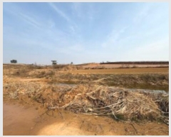  2025Ÿ��50070 ���� �س��� ���̸� ������ 817-10      ����(�Ӿ�)���