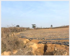  2025Ÿ��50070 ���� �س��� ���̸� ������ 817-10      ����(�Ӿ�)���