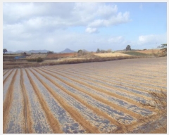  2025Ÿ��50070 ���� �س��� ���̸� ������ 817-10      ����(�Ӿ�)���