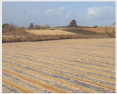  2025Ÿ��50070 ���� �س��� ���̸� ������ 817-10      ����(�Ӿ�)���