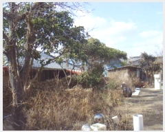  2025Ÿ��50094  ���ð��