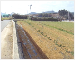  2025Ÿ��50094  ���ð��