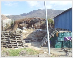  2025Ÿ��50094  ���ð��