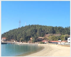  2025Ÿ50131  ϵ û  267      (Ӿ)