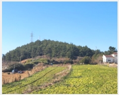  2025Ÿ50131  ϵ û  267      (Ӿ)